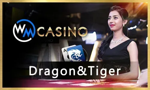 Sports Betting Platform Logo